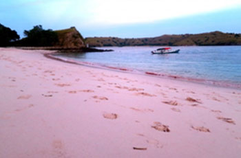 beyond-komodo6 Pink Beach