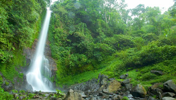 daily-bedugullovina1 daily-bedugullovina1